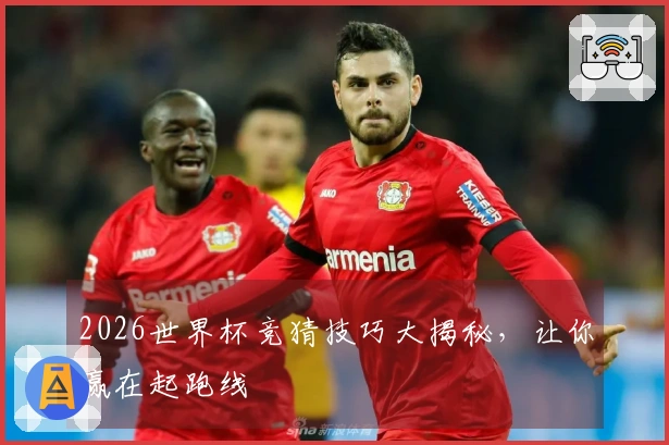 2026世界杯竞猜技巧大揭秘，让你赢在起跑线