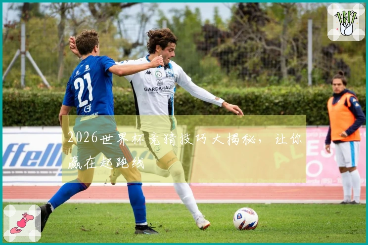 2026世界杯竞猜技巧大揭秘，让你赢在起跑线